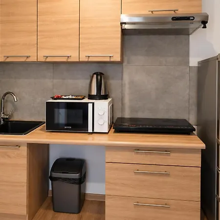 Przy Rynku Apartment Ścinawa
